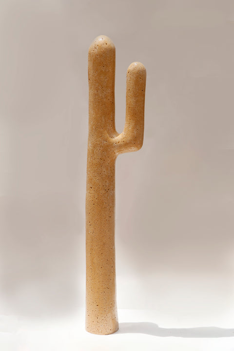 Single Arm Cactus