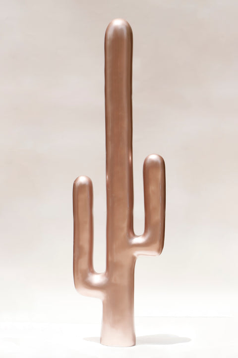 Double Arm Cactus