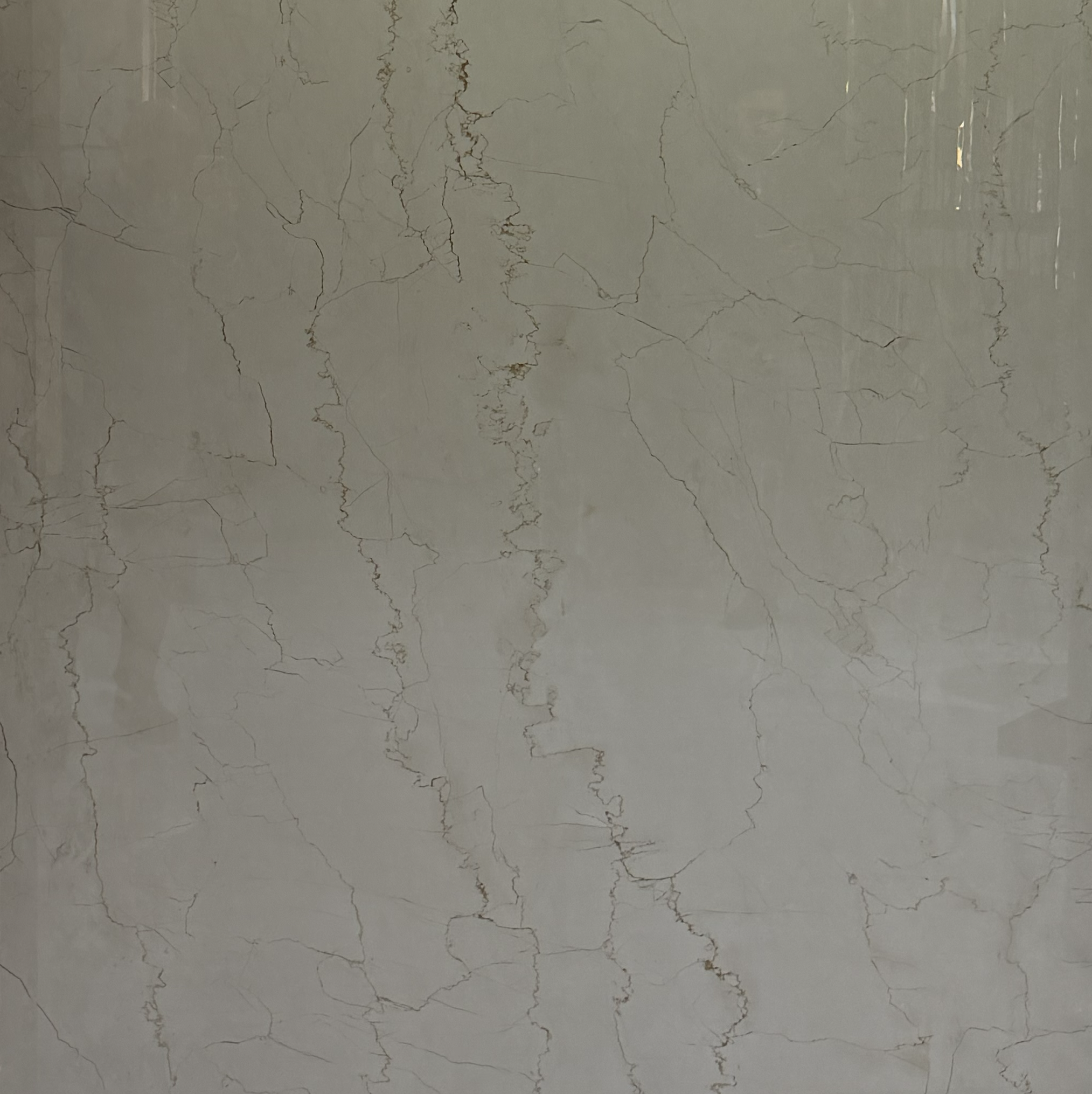 Patchino Classico Glossy – Mostafa El Sallab Establishment