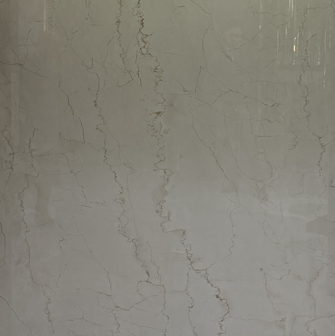 Patchino Classico Glossy