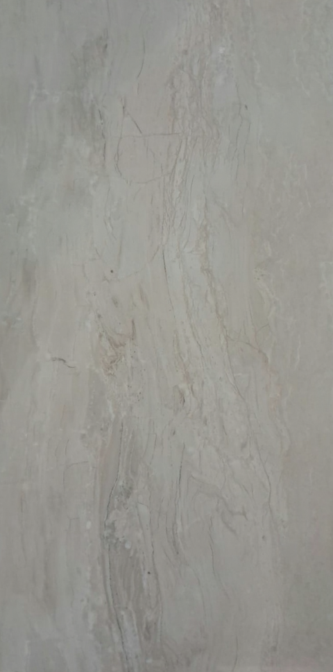 Fossil