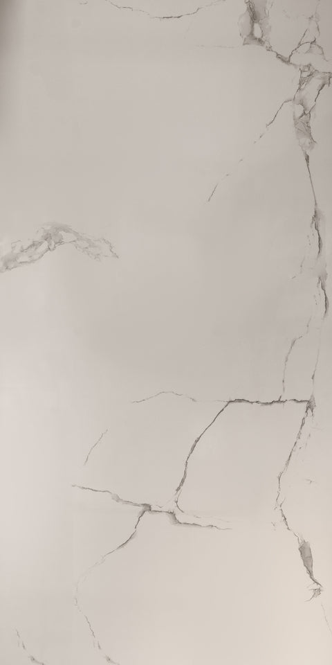 PG6120230