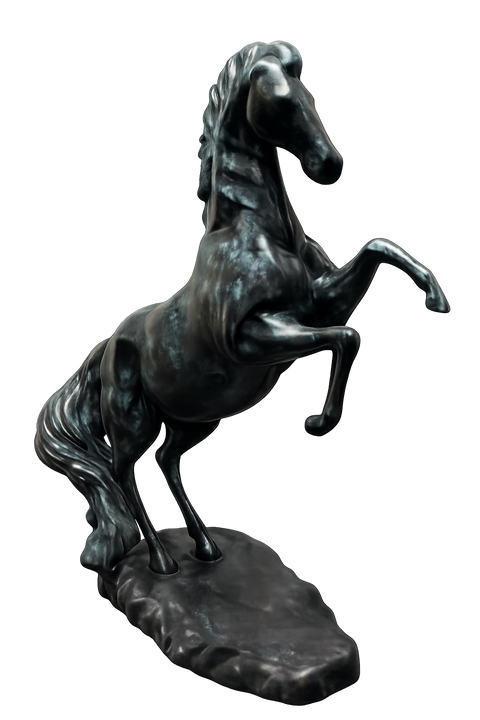 Arabian Horse