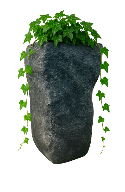 Rocky pot