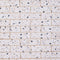 Cultured Bricks Terrazzo Grande CB25